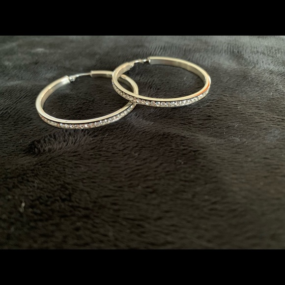 Chelsea Hill Stainless Steel hoop earrings - Picture 1 of 6